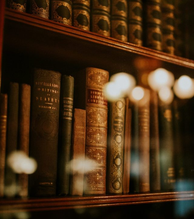 clarisse meyer jku2nnezabi unsplash